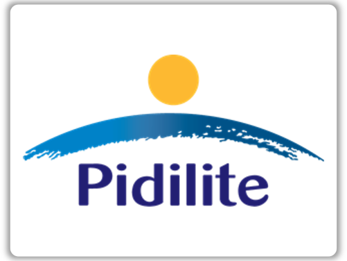 Pidilite  Custom 