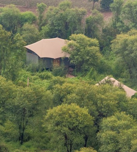 An aerial view of the cottages amisdt trees | Trees N Tigers