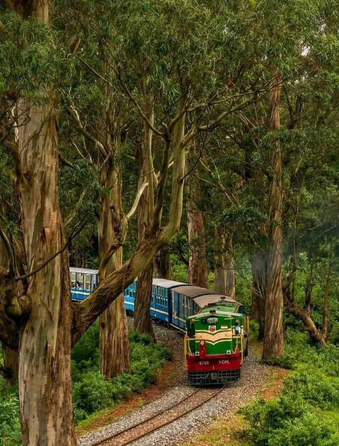 Nilgiri Mountains Railway