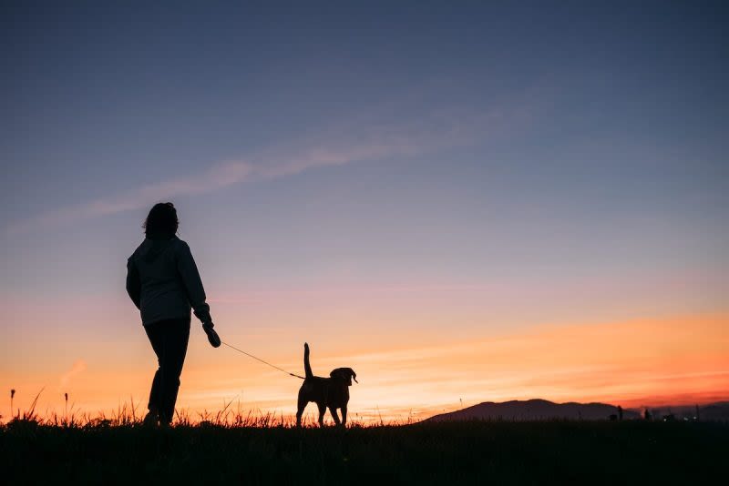 A person with a dog talking an evening walk - Evergreen Conunty