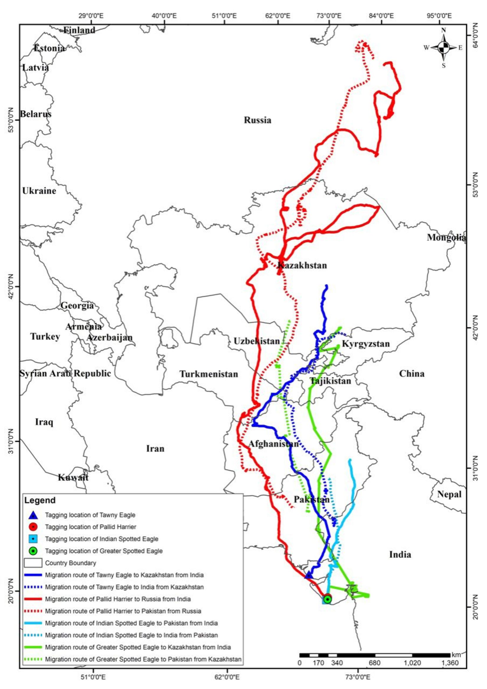 Aramness - Migration Flyway map