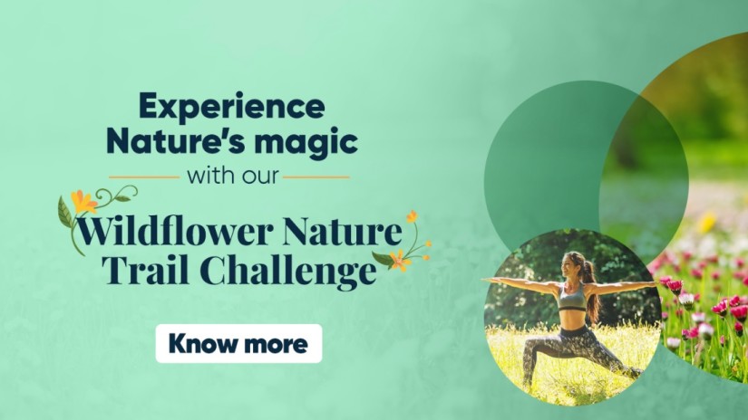 Revised Web banner- wildflower challenge