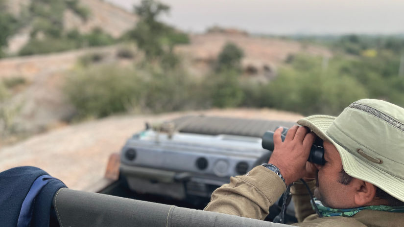 A man spotting leopards via binoculars during a leopard safari in Jawai