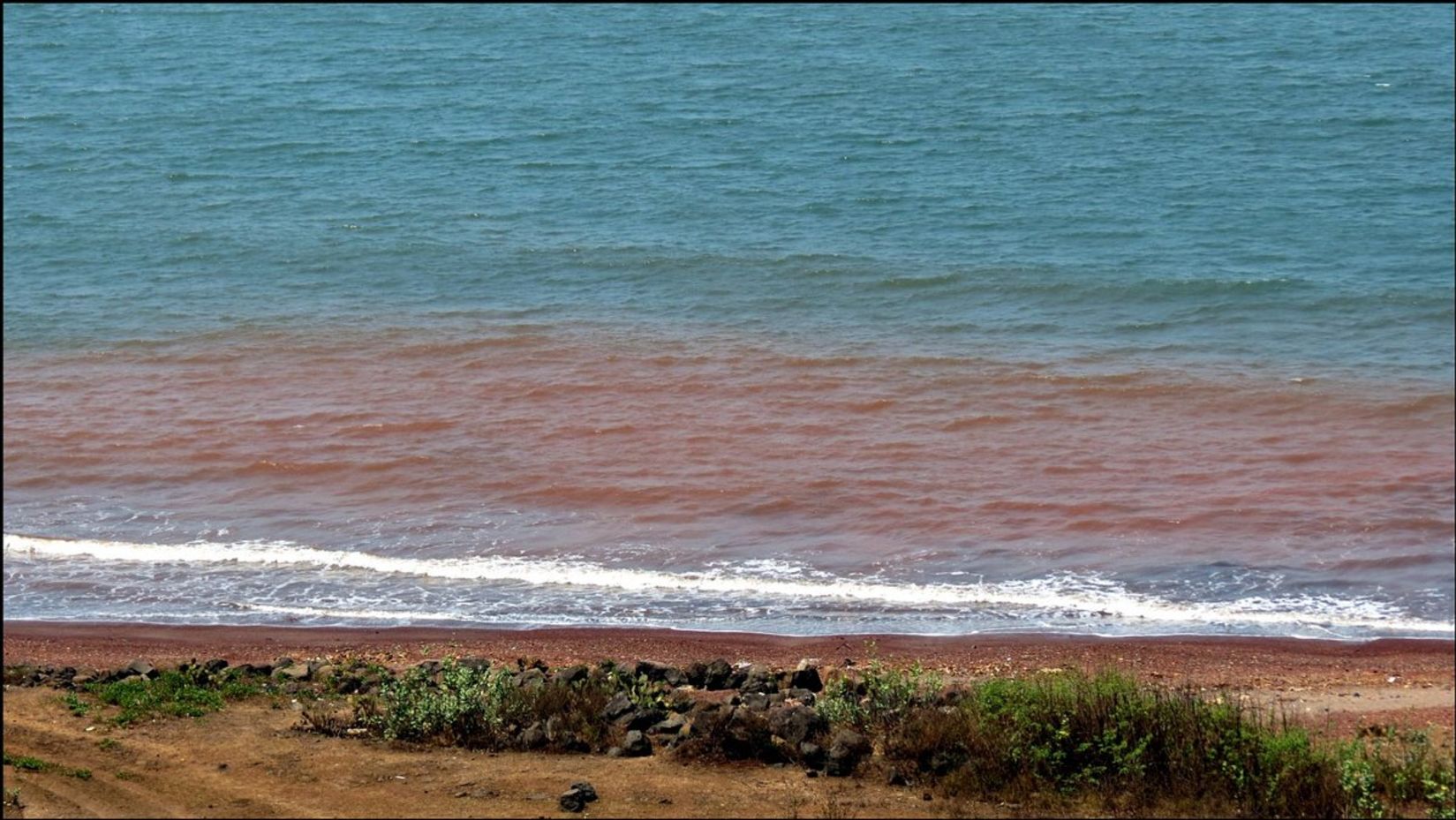 A sea shore with the waves crashing in