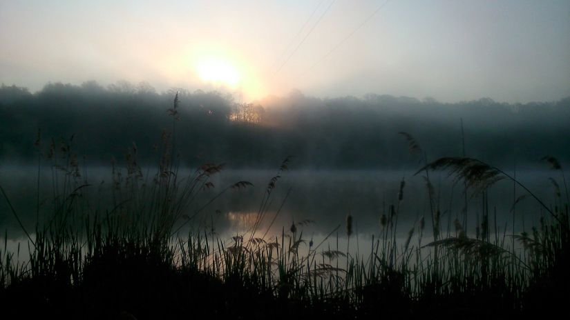 A view of the lake in forest during sunrise time .