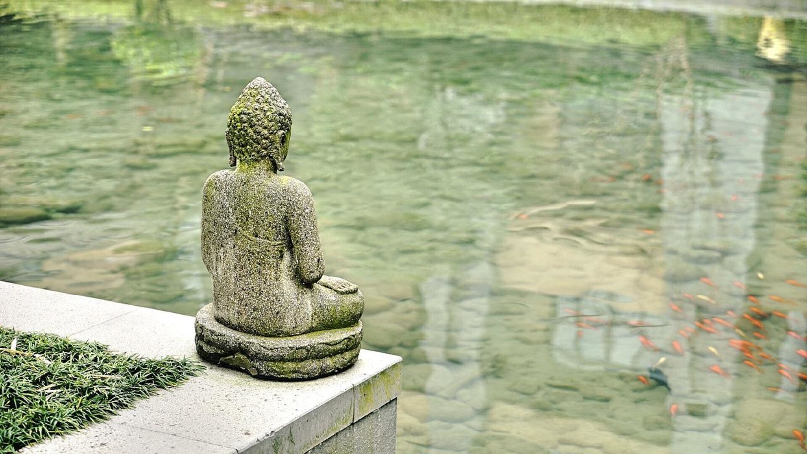 A statue of buddha by a waterbody