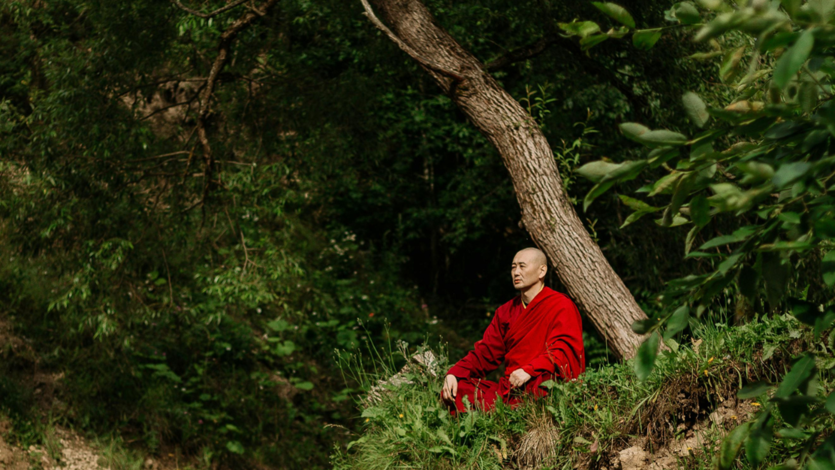 A monk in red robes sitting peacefully by a river under a green tree.