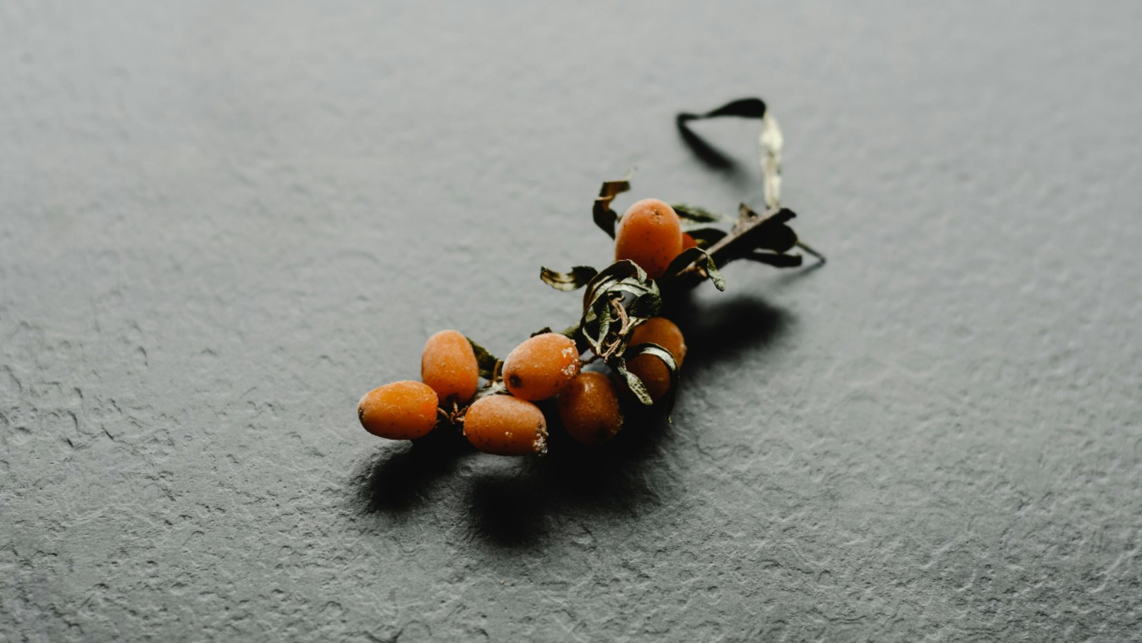 A sparse twig with small orange berries lies on a textured gray background.