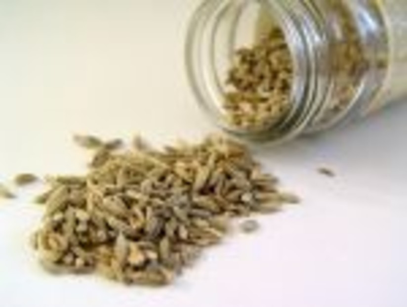 Fennel seeds coming out of a jar  at the Hablis Hotel