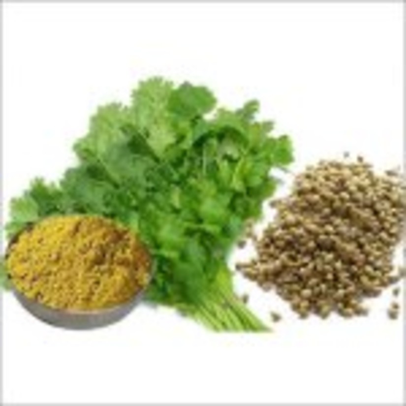 Hablis Hotel Chennai Chennai indian-coriander-seeds-and-leaves Hablis Hotel Chennai