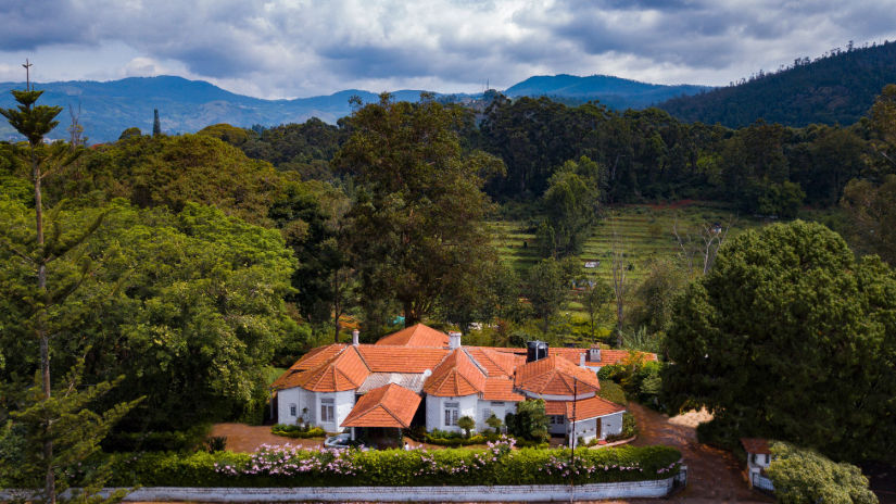 A view of Wallwood Garden 