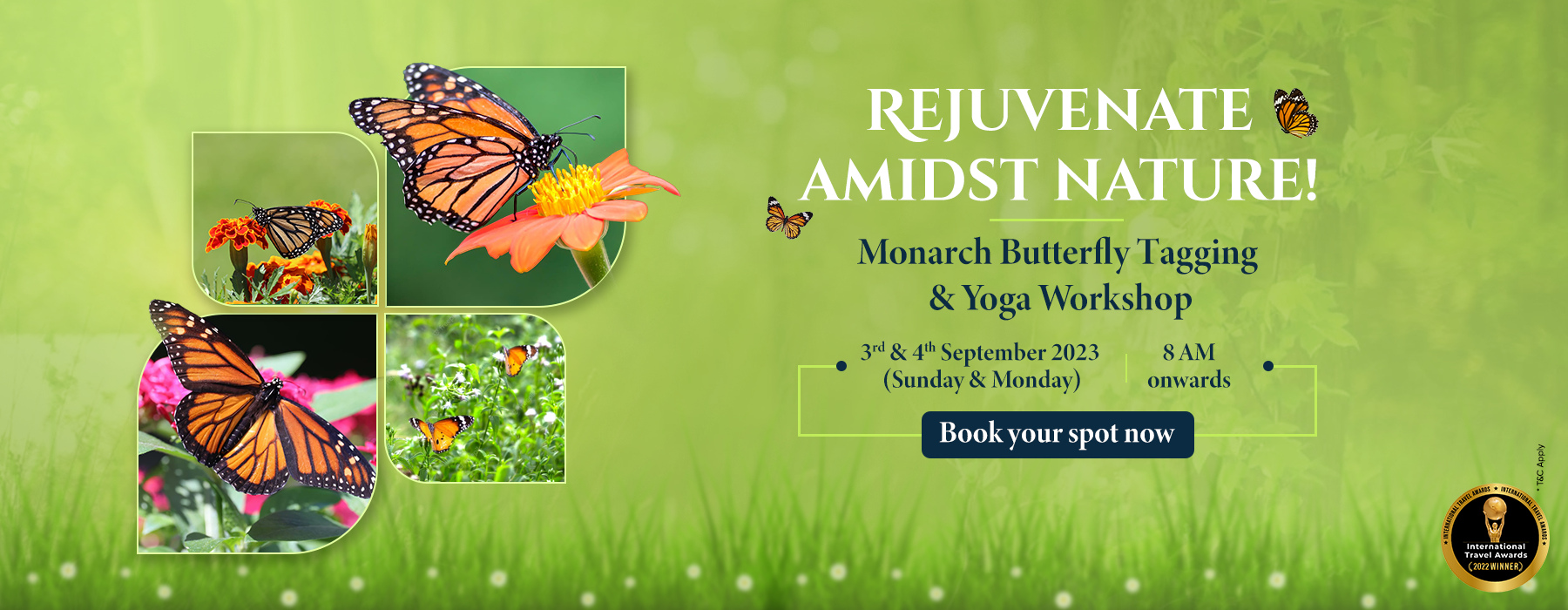 Butterfly-tag-event-banner-1