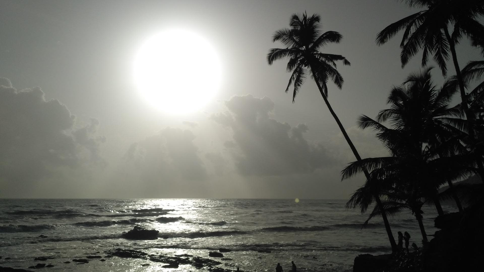 black and white image of a beach