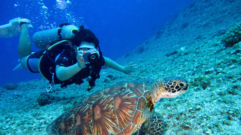 Scuba diving in clean blue water