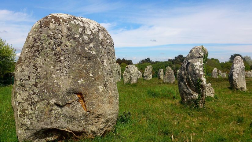 Stones concentrated in a grass area