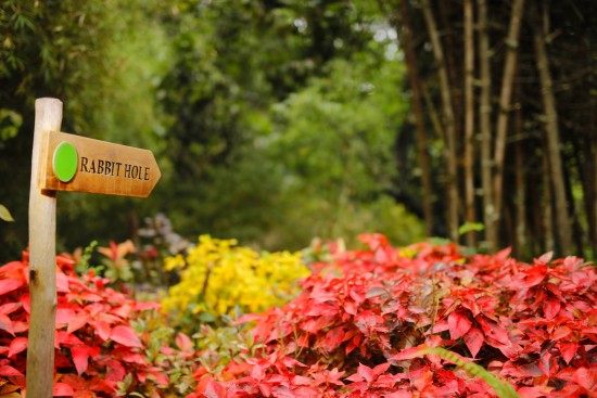 alt-text Garden, Amanvana Resort And Spa, Coorg Resort