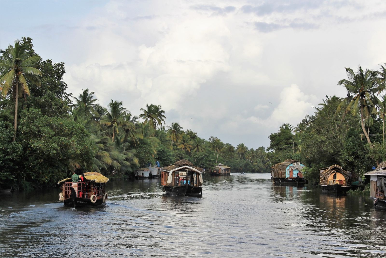 houseboats in the backwaters of kerala