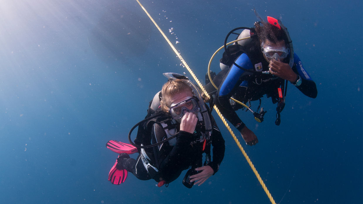 04 PADI Scuba Diver