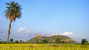 Facade_Tijara Fort Palace_Hotel In Rajasthan