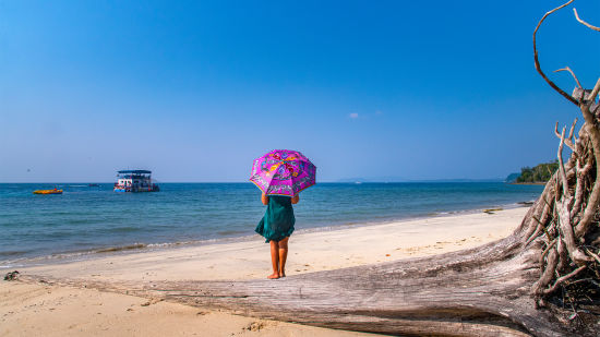 Elephant Beach