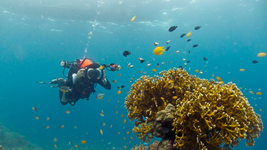 Underwater in Andaman Sea