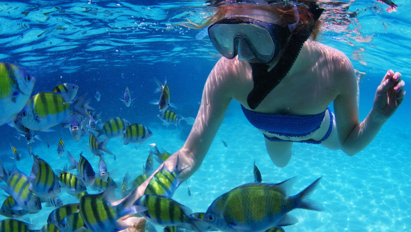 snorkeler with fish