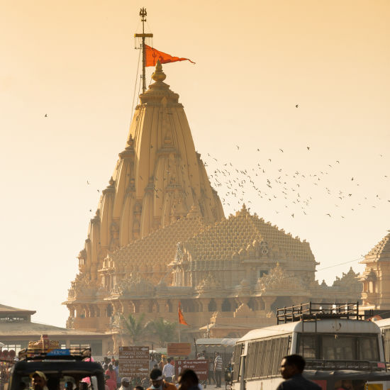 Flock of Birds Clicked in front of a Temple