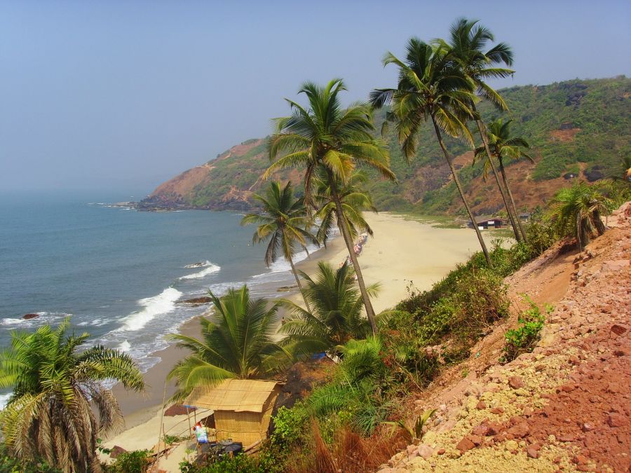 alt-text Arambol beach