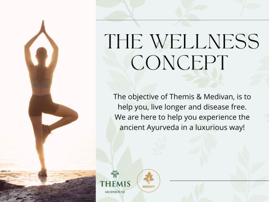 The Wellness Concept Brochure for Themis Mudhouse - A Nature's Retreat Resort & Wellness