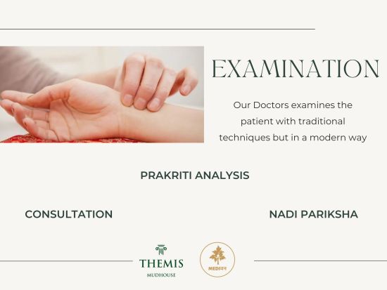 Examination Brochure for Themis Mudhouse - A Nature's Retreat Resort & Wellness