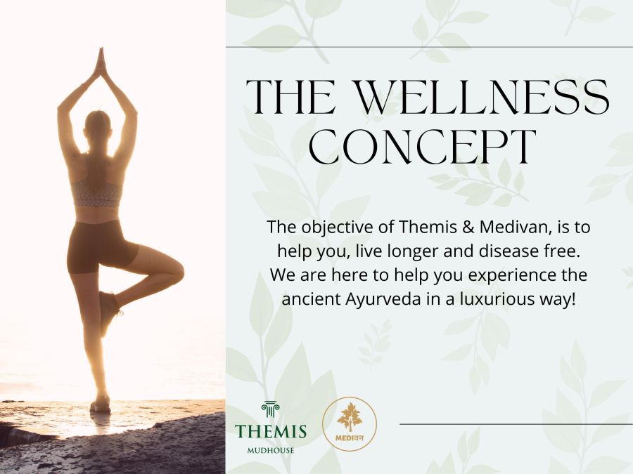 The Wellness Concept Brochure for Themis Mudhouse - A Nature