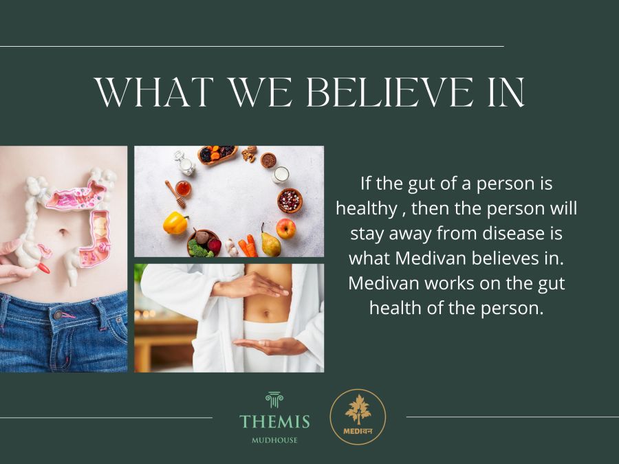 What we believe in Brochure for Themis Mudhouse - A Nature