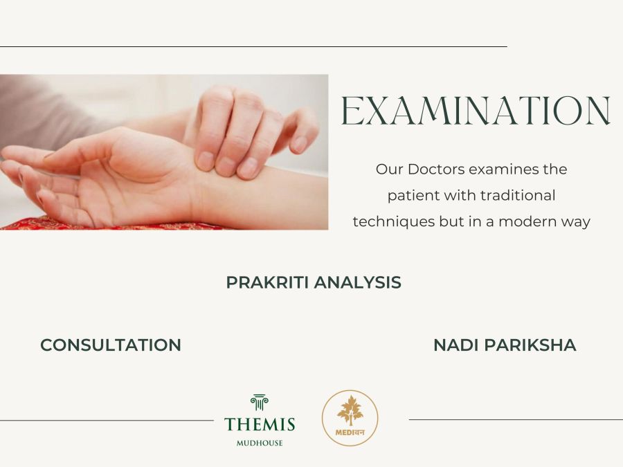 Examination Brochure for Themis Mudhouse - A Nature