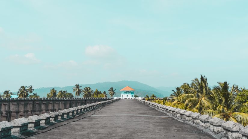 a empty tarred road with coconut trees on one side and a building as well as a hill in the background