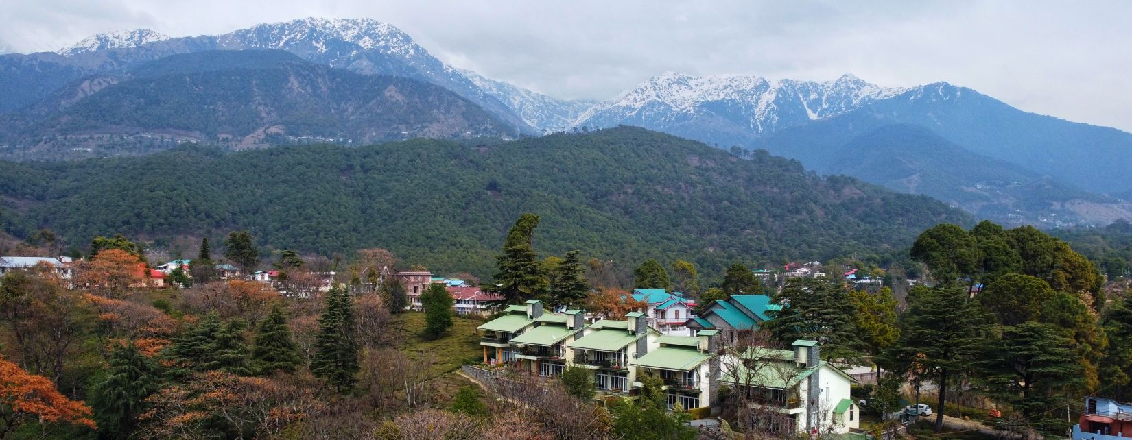 Bird eye View @ Lamrin Norwood Green, Palampur