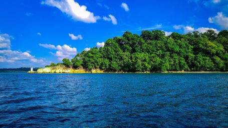 A view of the elephant beach with trees on it from the sea 