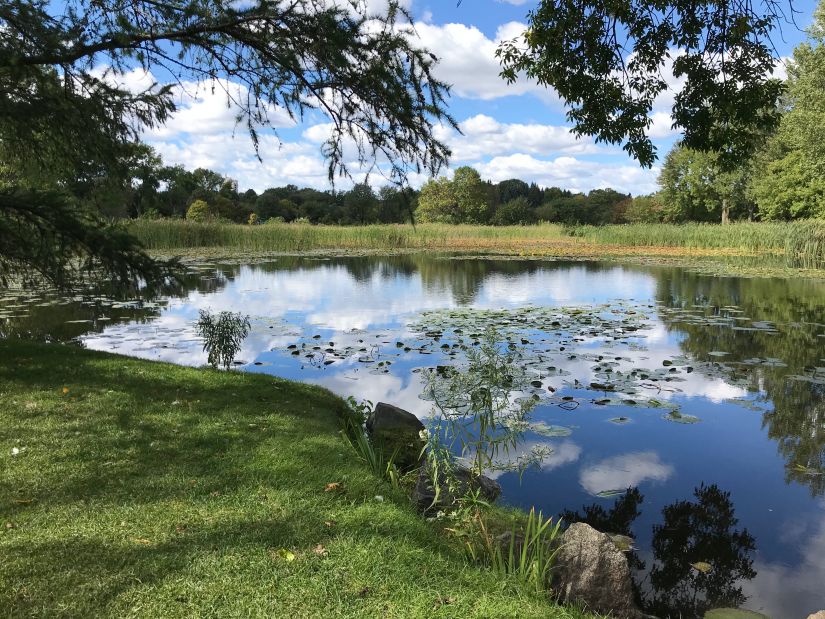 a pond with the reflection of the sky and greenery surrounding it