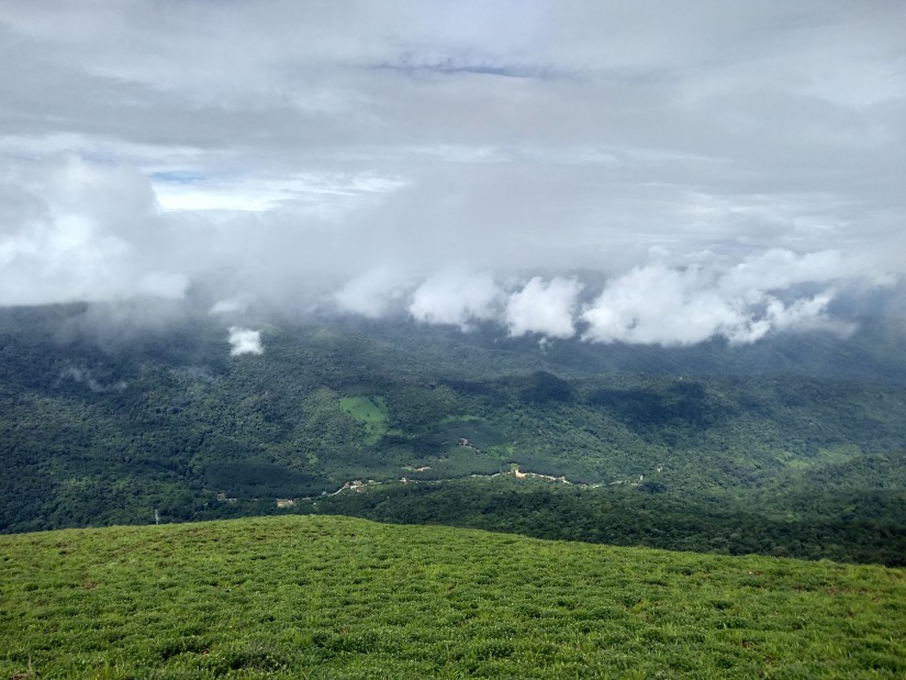 lush green mountain top with white clouds in backdrop