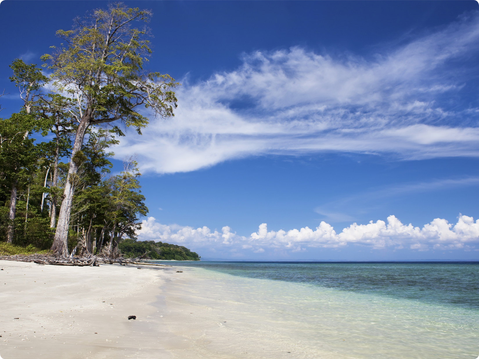 Elephant beach near our resort in Havelock 