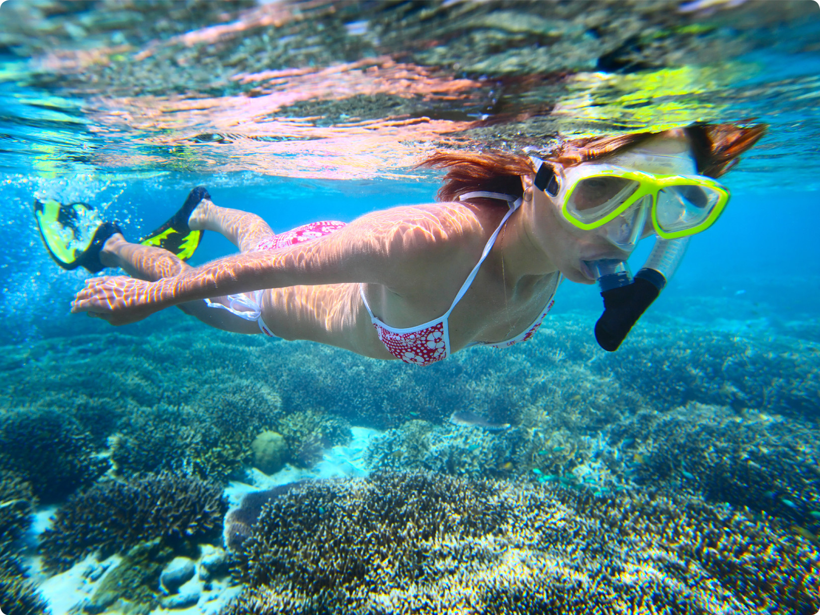 Indulge in Snorkeling near our resort in Havelock 