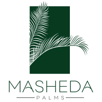 Masheda Logo