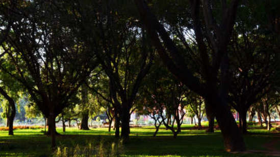 Royal Serenity Hotels, Bangalore Cubbon Park