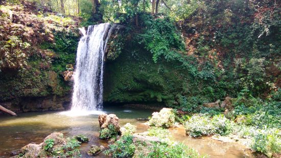 Corbett Falls Near Corbett Wild Iris Spa Resort