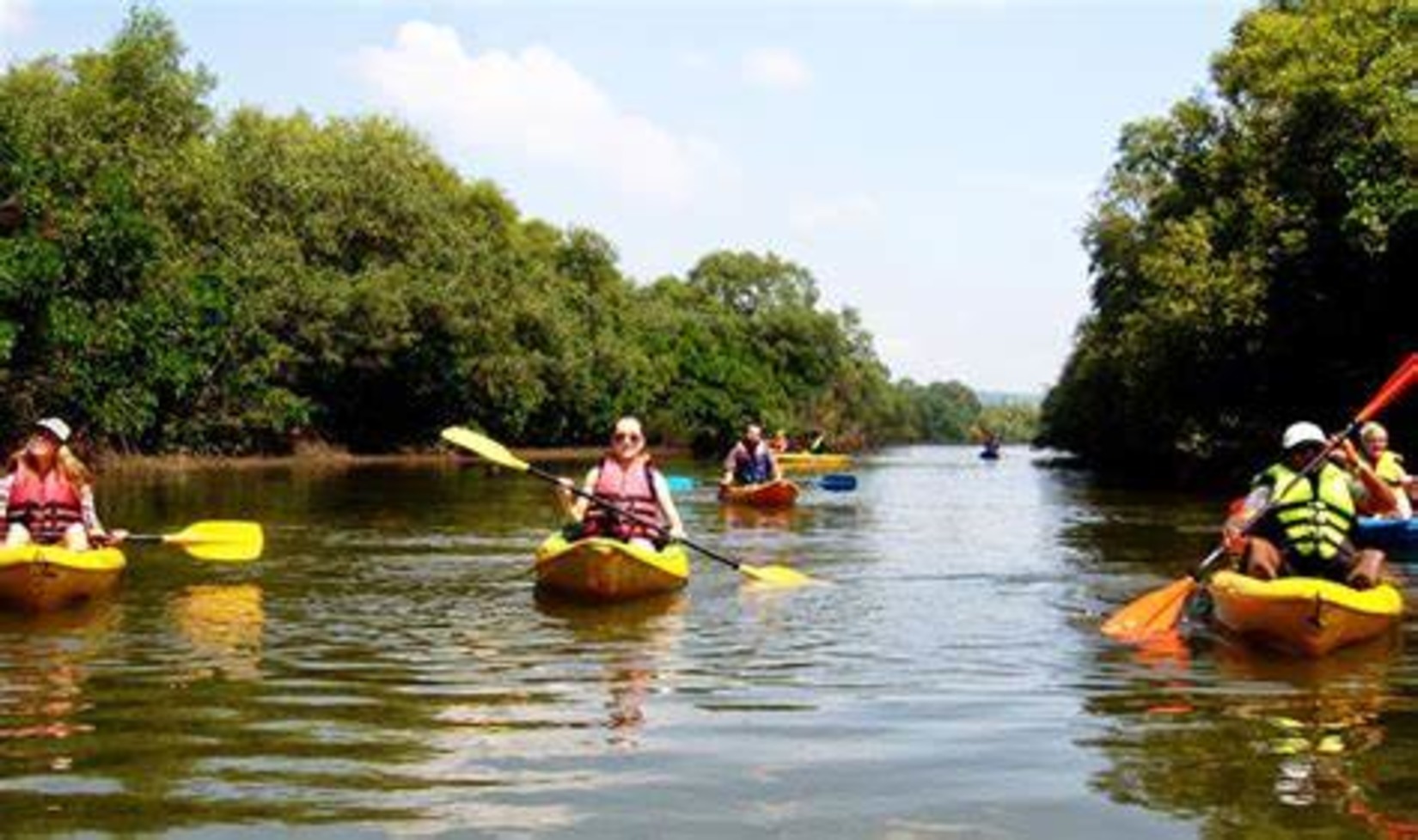 Kayaking in Goan Back Waters - Villa in Palms by V Escapes