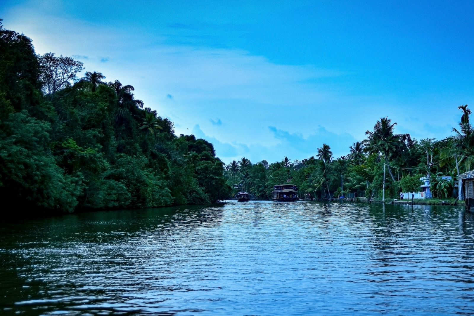 Two housboats in the distance cruising through a narrow waterbody with lush greenery on either sides