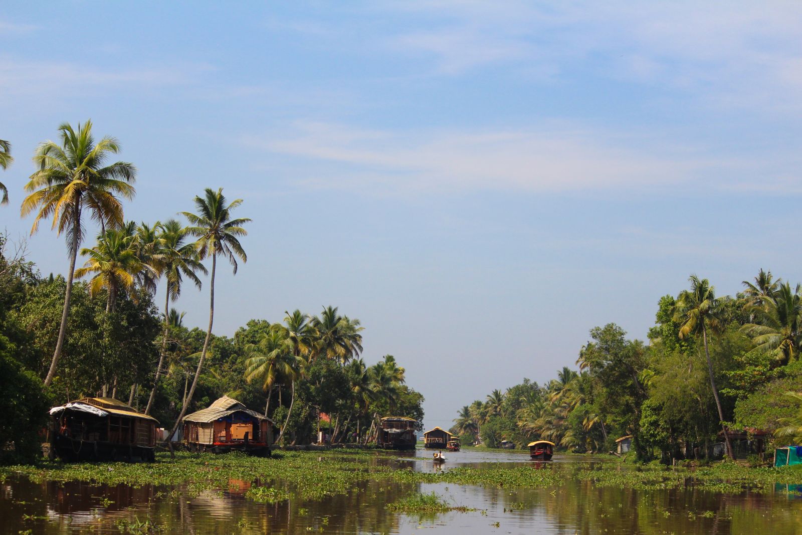 houseboats in the backwaters of kerala