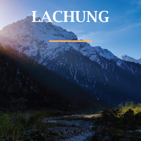 8217LACHUNG