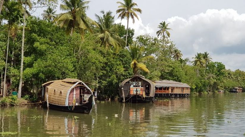 backwater cruise