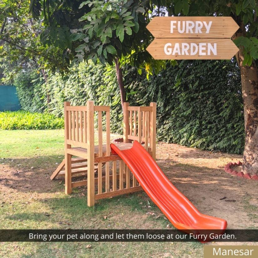 furry garden creative