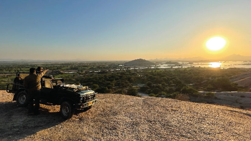 person admiring sunset atop a hill